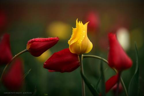 После дождя