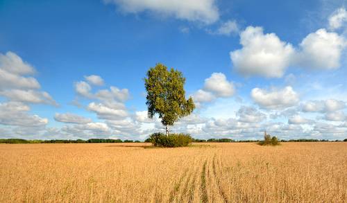 Был конец августа.