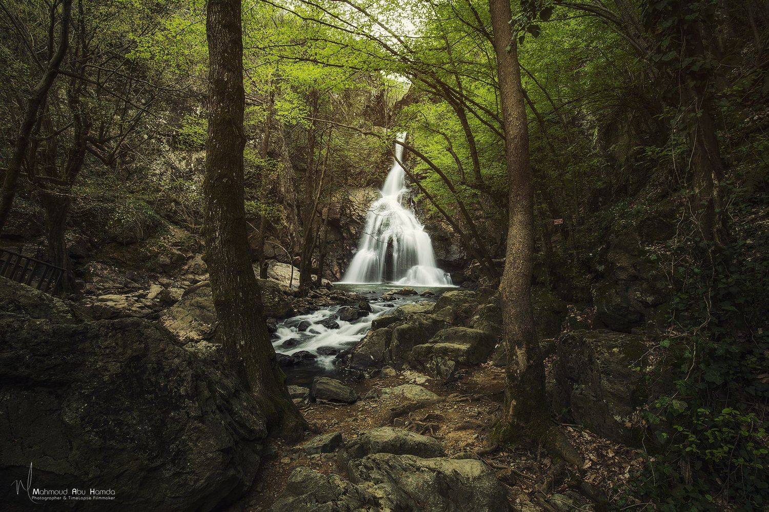 , Махмуд Хамда