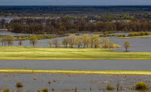 Май. Разлив.
