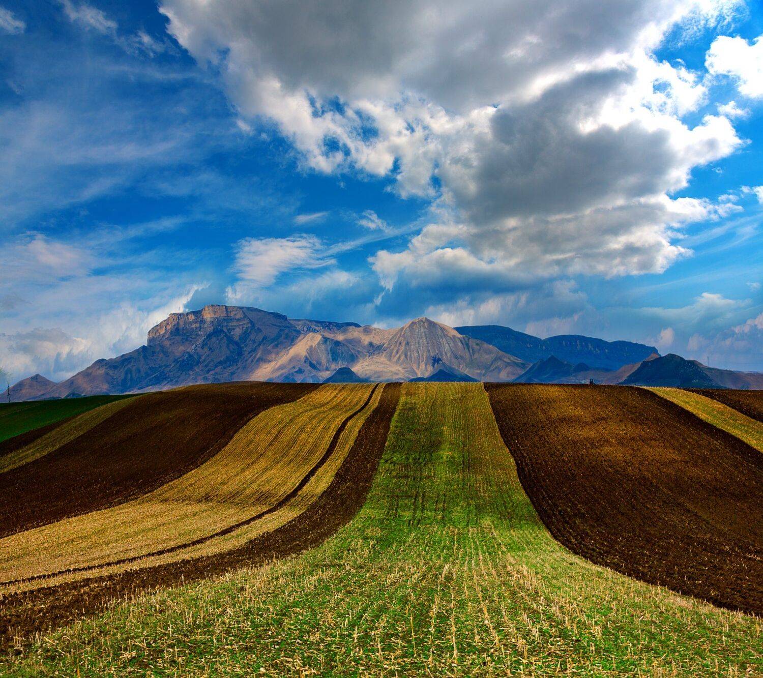 поле,весна,карачаево-черкессия,природа,пейзаж, Елена Брежицкая