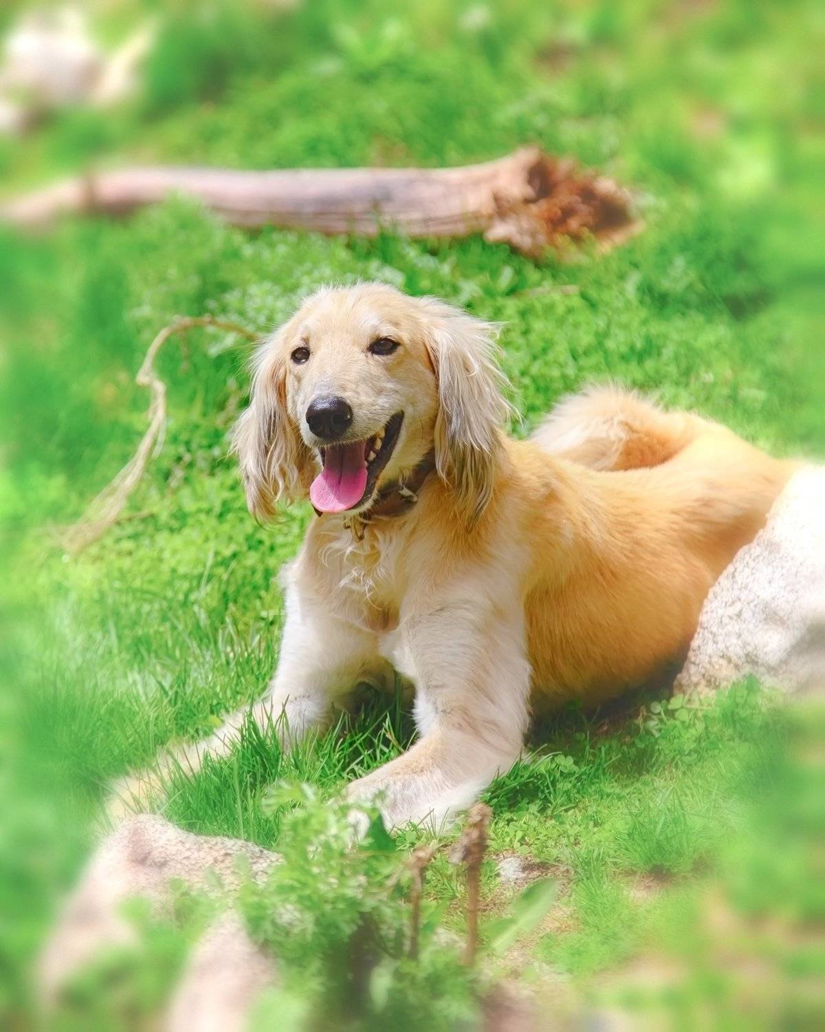 кыргызстан, горы, Элина Магалимова