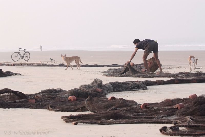 море, океан, берег, рыбак, сеть, собака, велосипед, индия, гоа, путешествие, приключение, шагнивнеизведанное Из цикла \