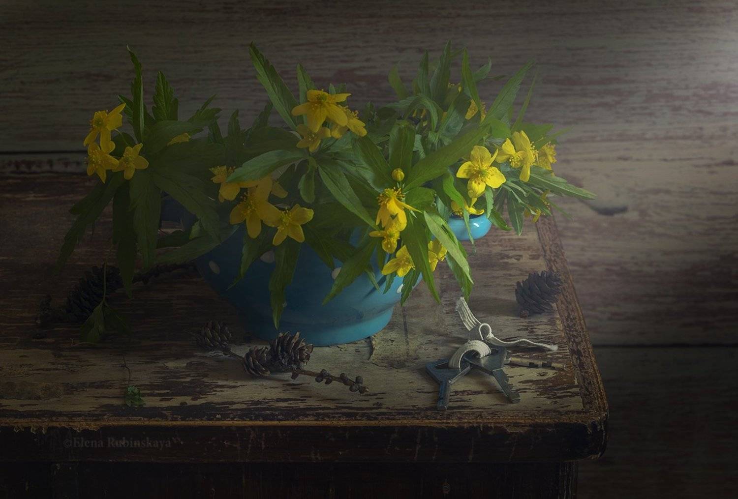 , Елена Рубинская