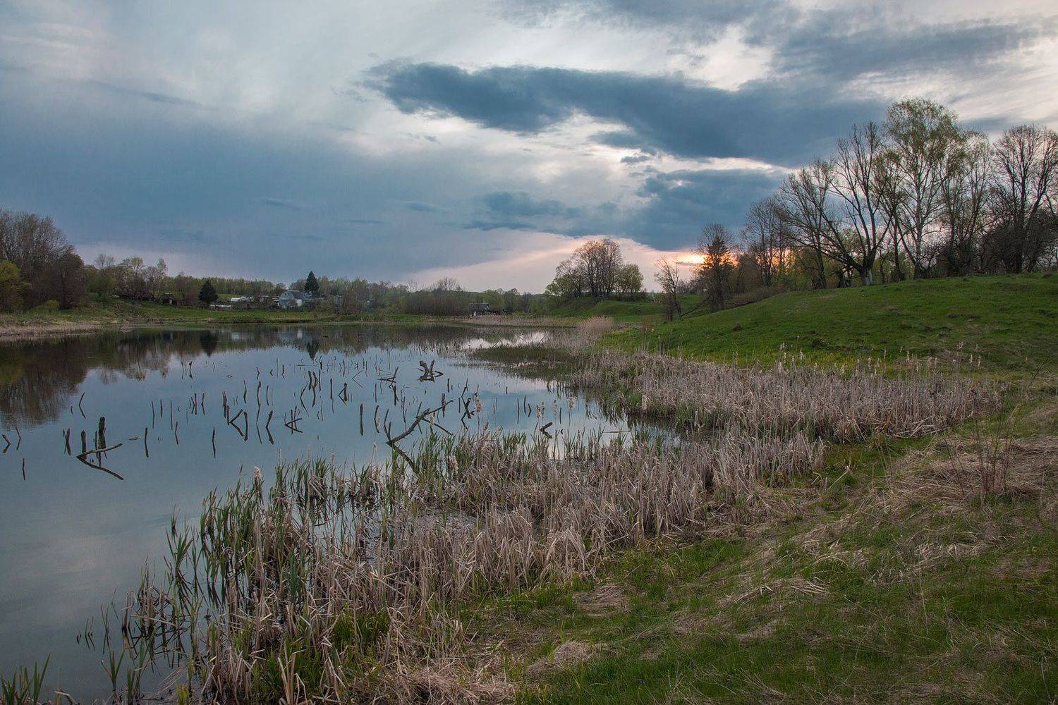 ,  Александр