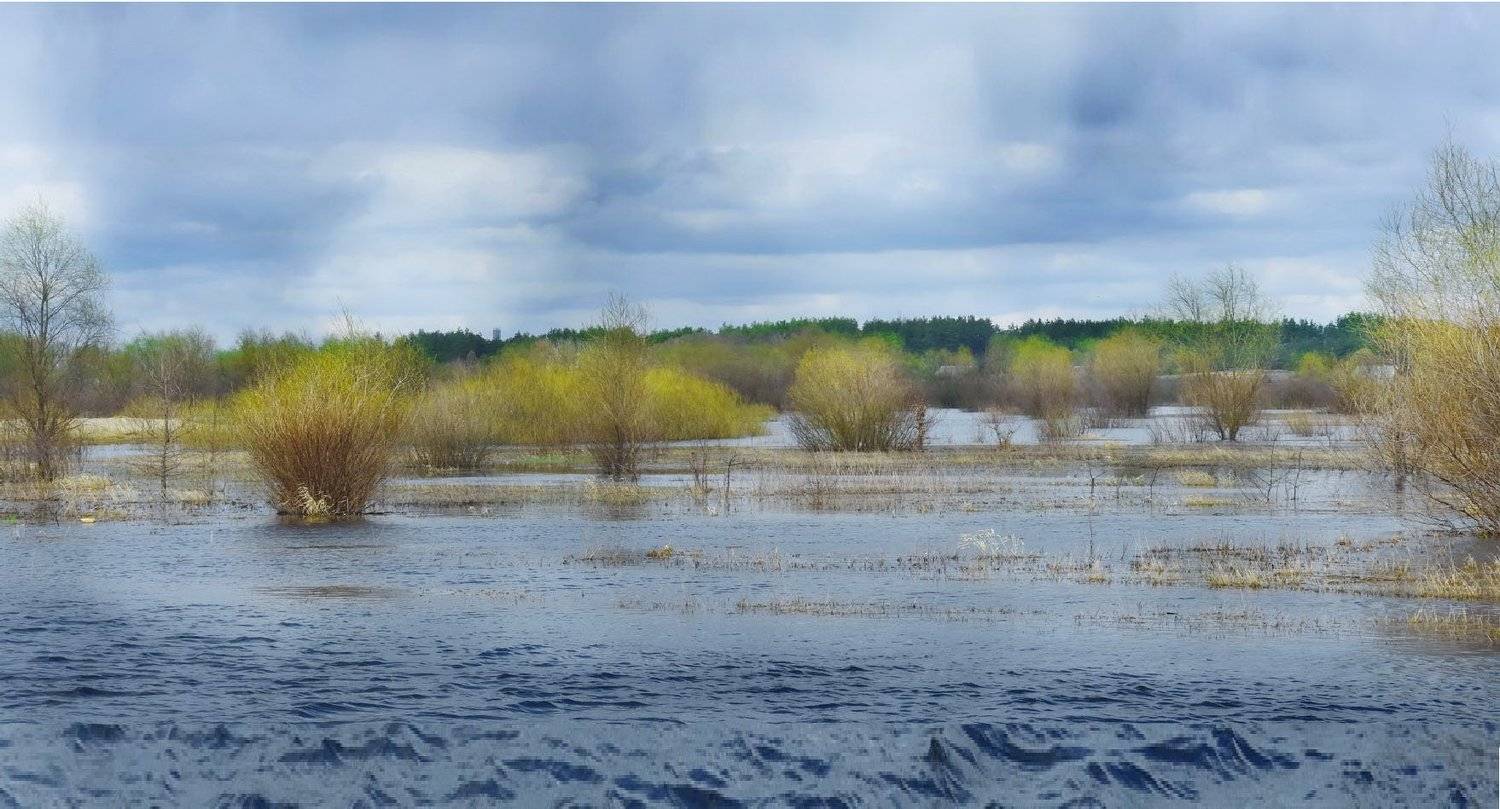 , Валерий Козуб