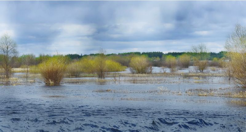 Половодье на Припяти фото превью