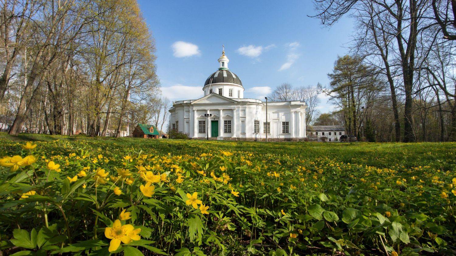 , Павел Трефилов