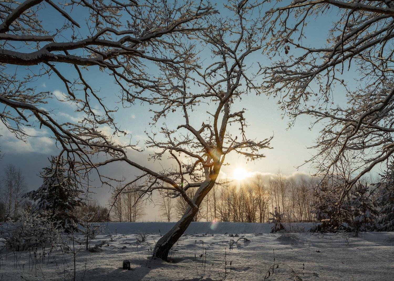 , Сергей Сергеев