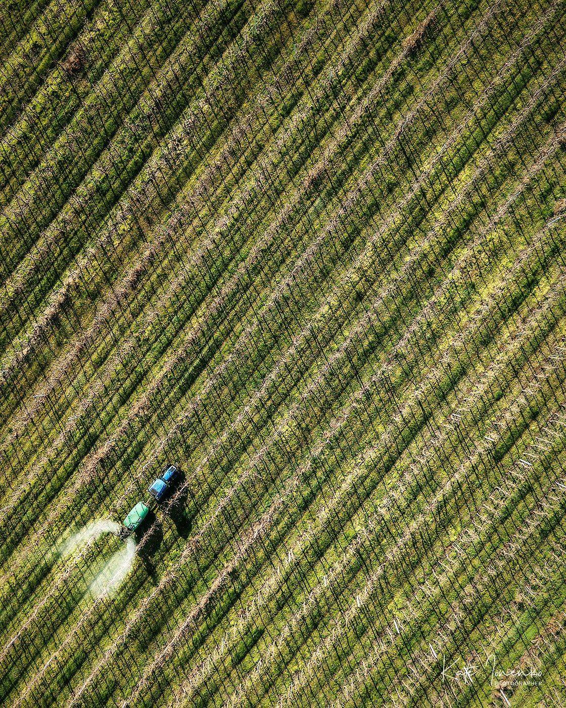 , Екатерина Ионенко