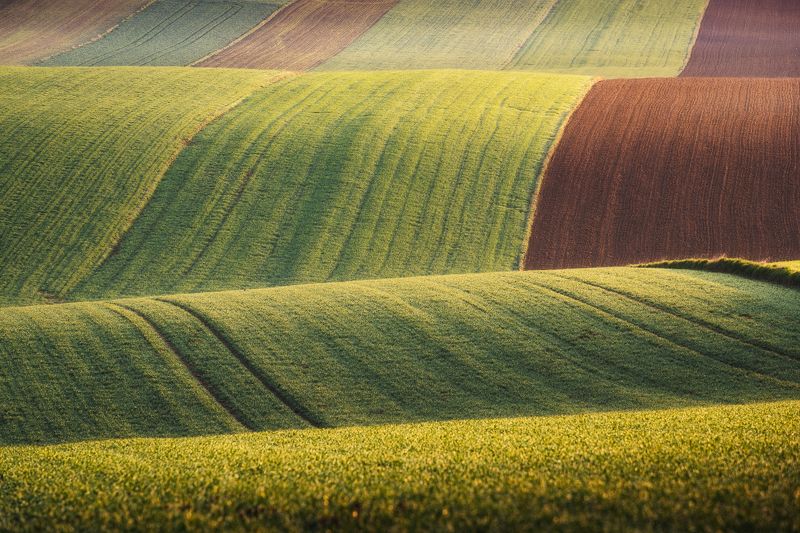 Waves фото превью