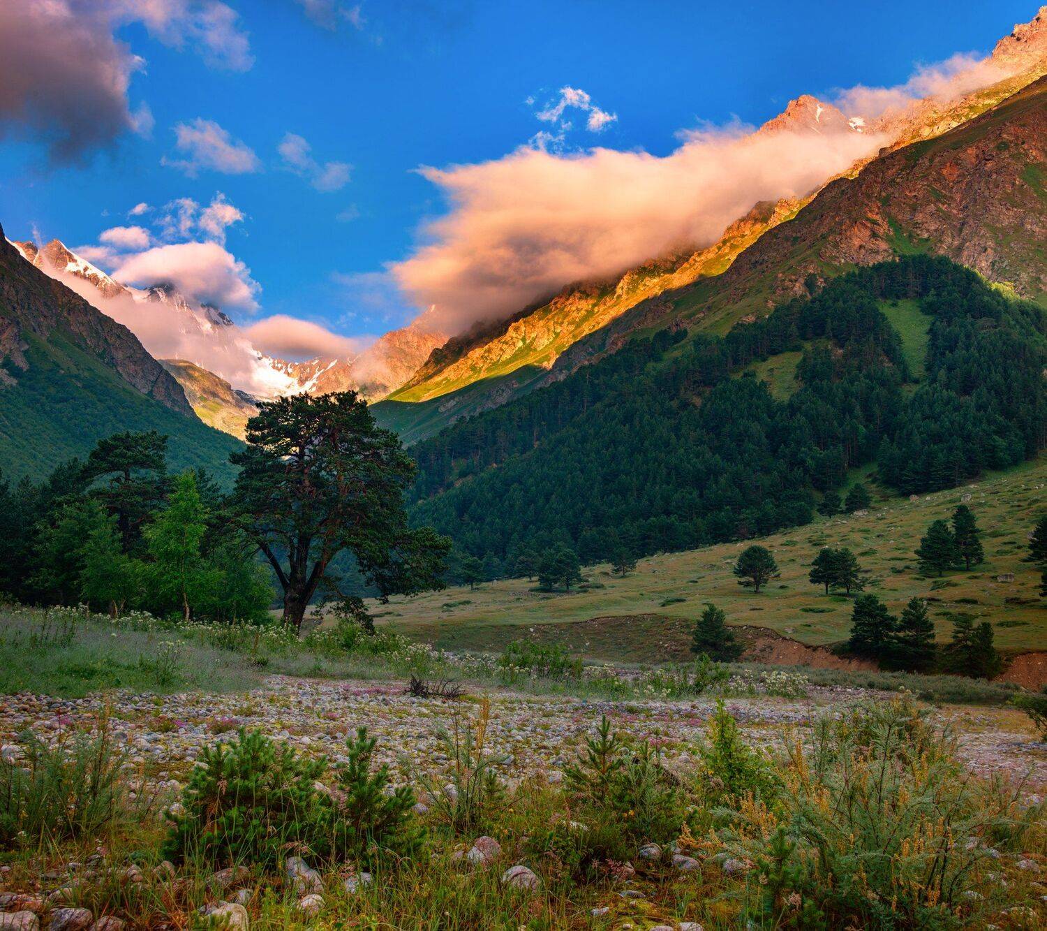 утро,чегем,облака,природа,пейзаж,кбар, Елена Брежицкая