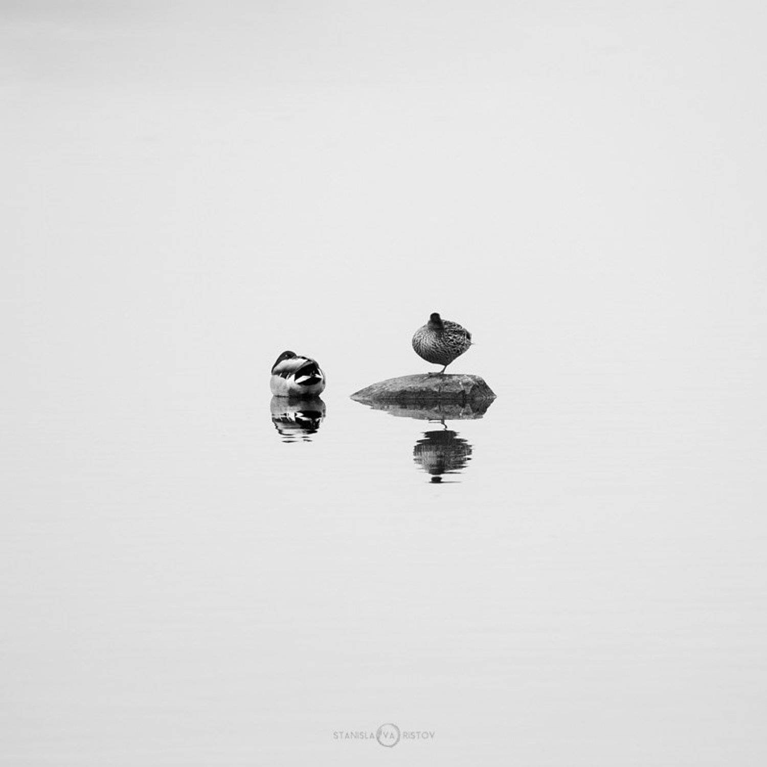 , Станислав Аристов