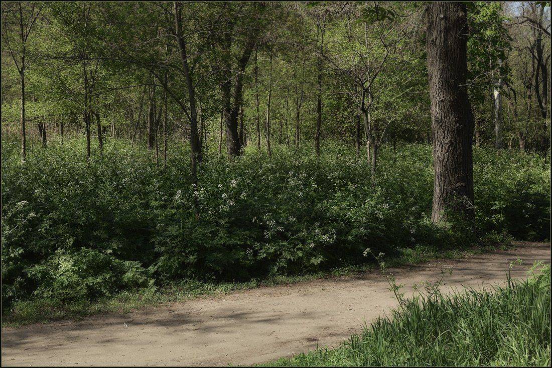 , Александр Хромеев