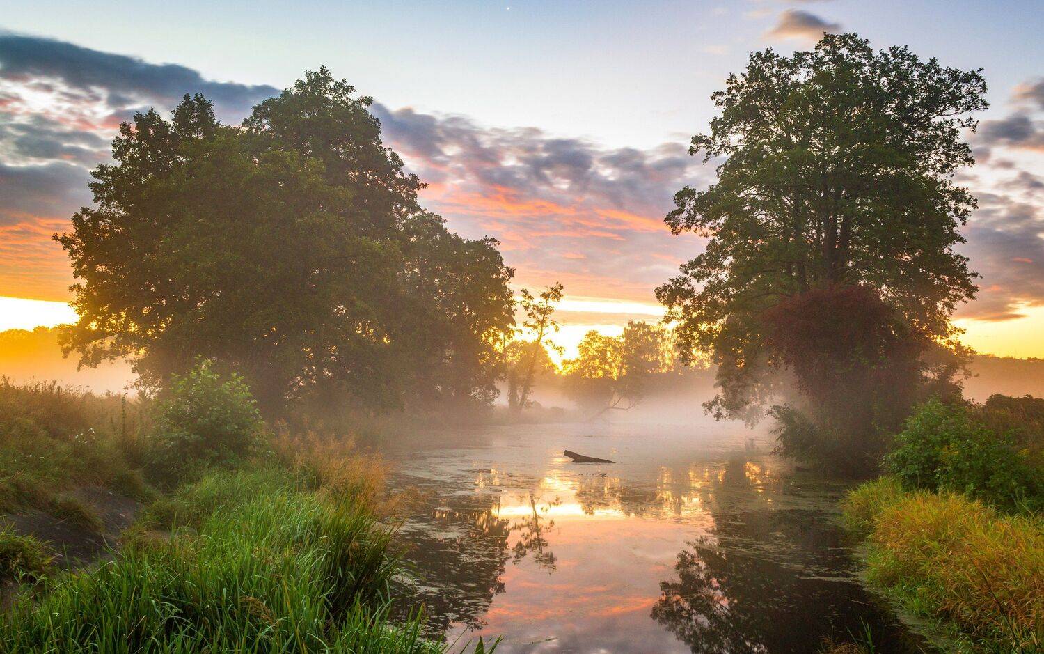 landscape, fog, light, nature, dawn, atmosphere, reflection, summer, water, river, Gwda, Nikon, trees, sky, clouds, Krzysztof Tollas