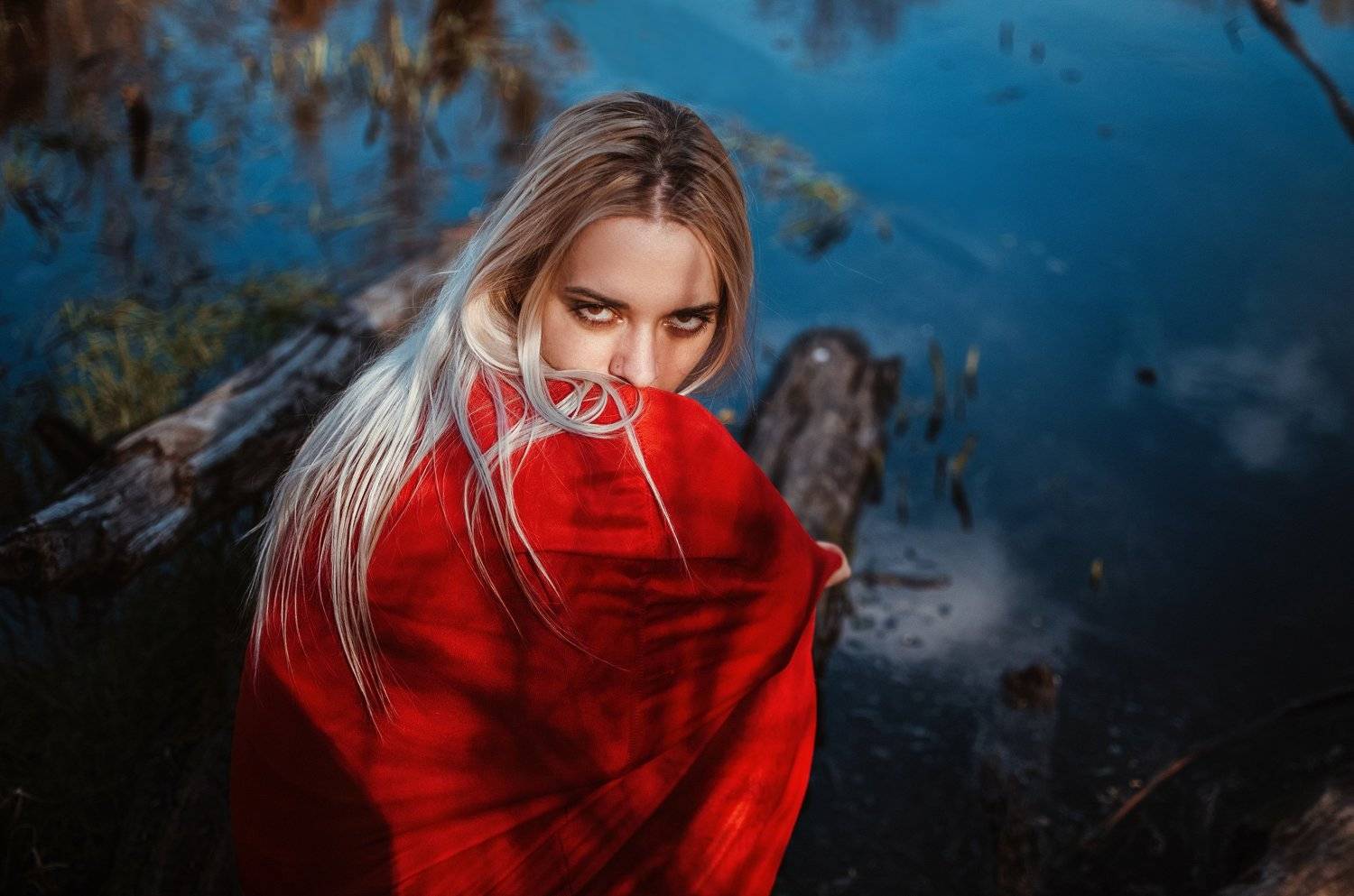 , Виталий Шевченко