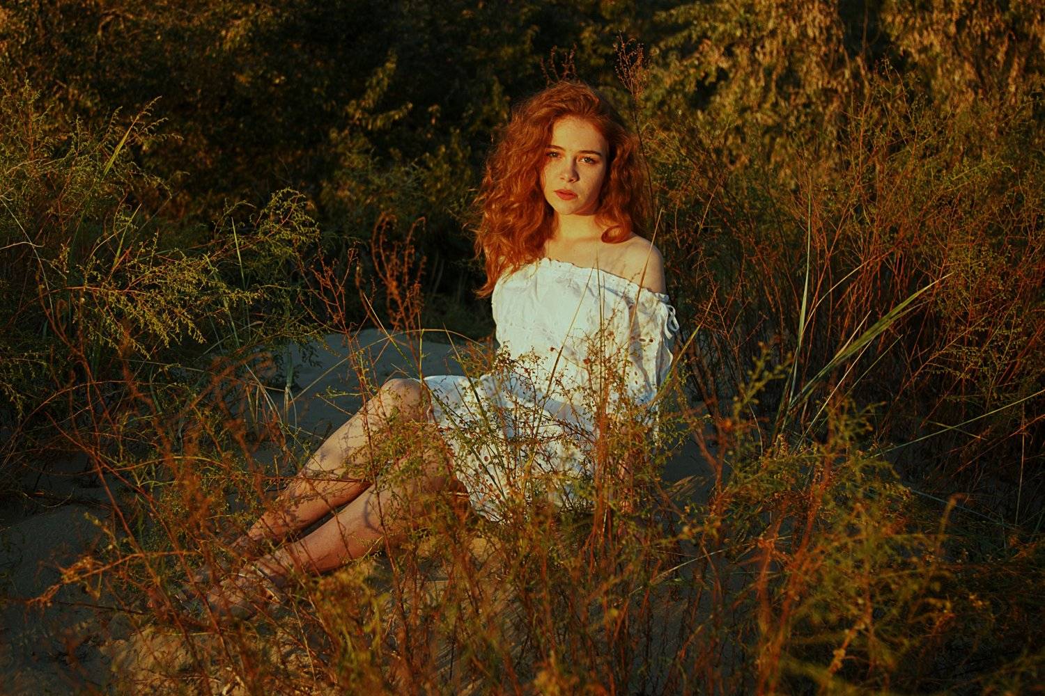 , Marie Dashkova
