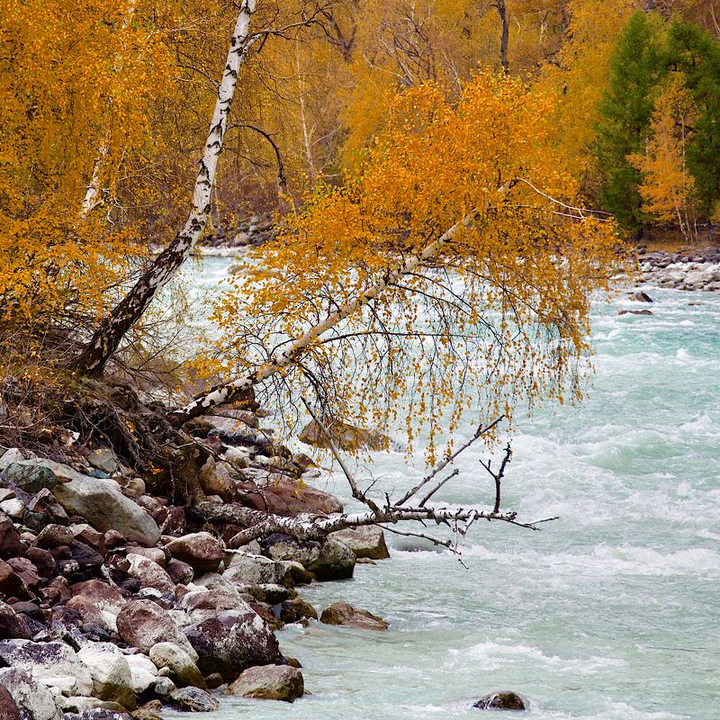 в р е м я . . . фото превью