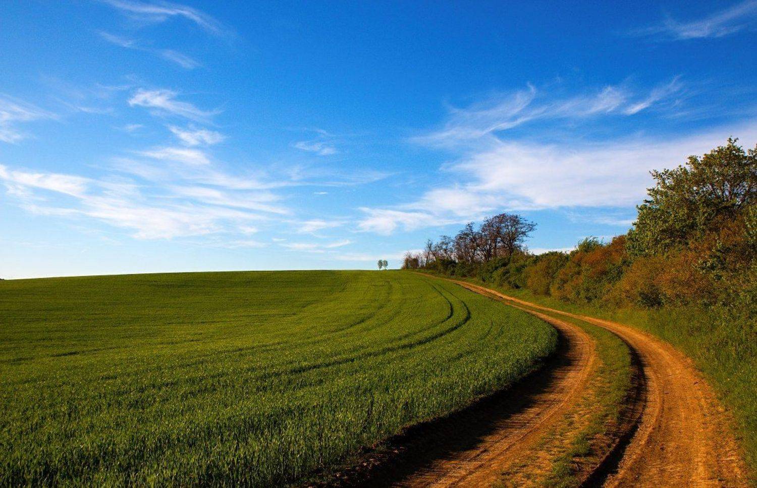 , Franti&scaron;ek Uhler