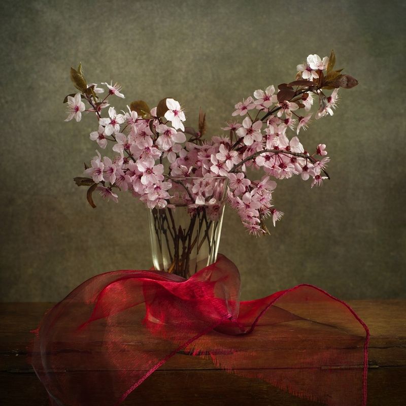 Sakura фото превью