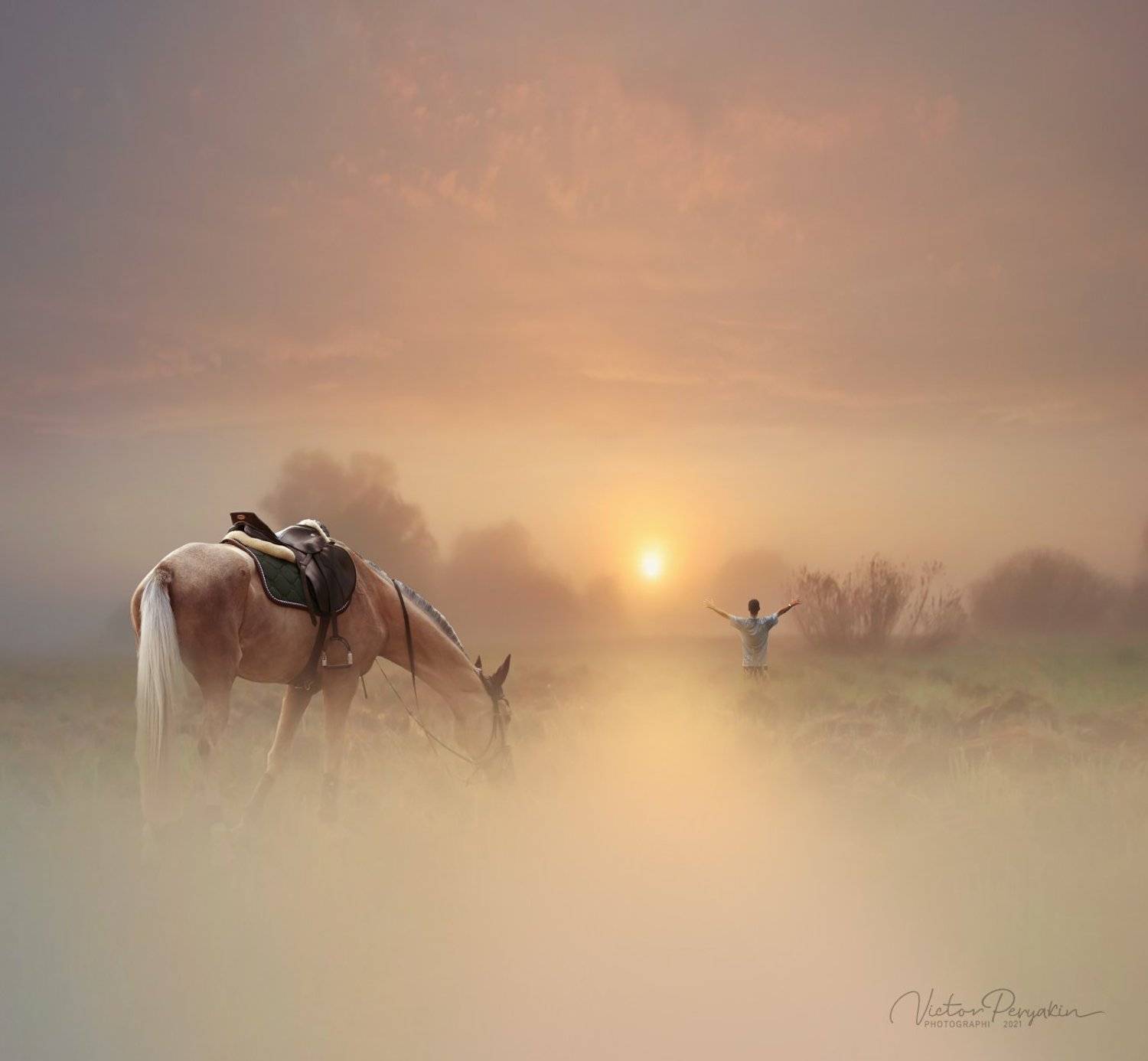 , Виктор Перякин