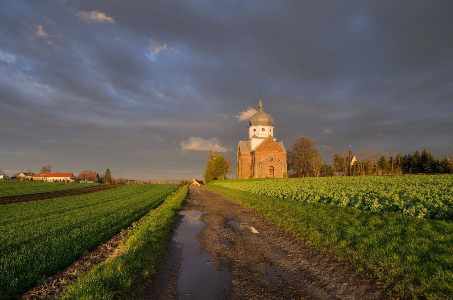 ,  Mirosław Pruchnicki