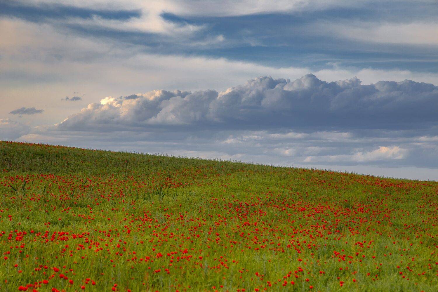 кыргызстан, горы, Элина Магалимова