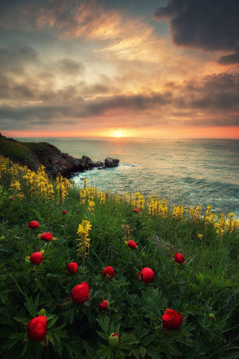 , Костадин Маджаров