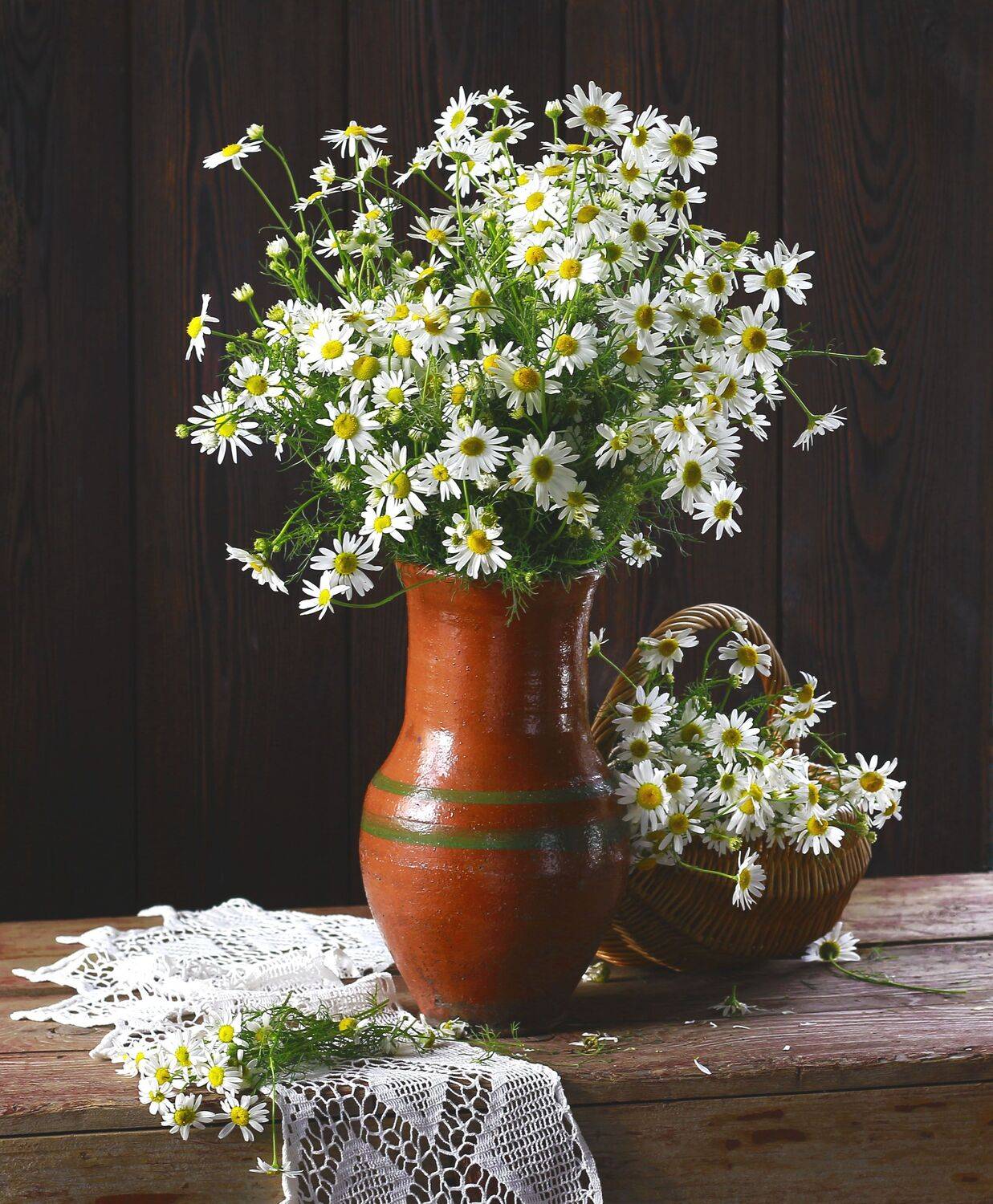 натюрморт, фотонатюрморт, лето, ромашки, наталья казанцева, Наталья Казанцева