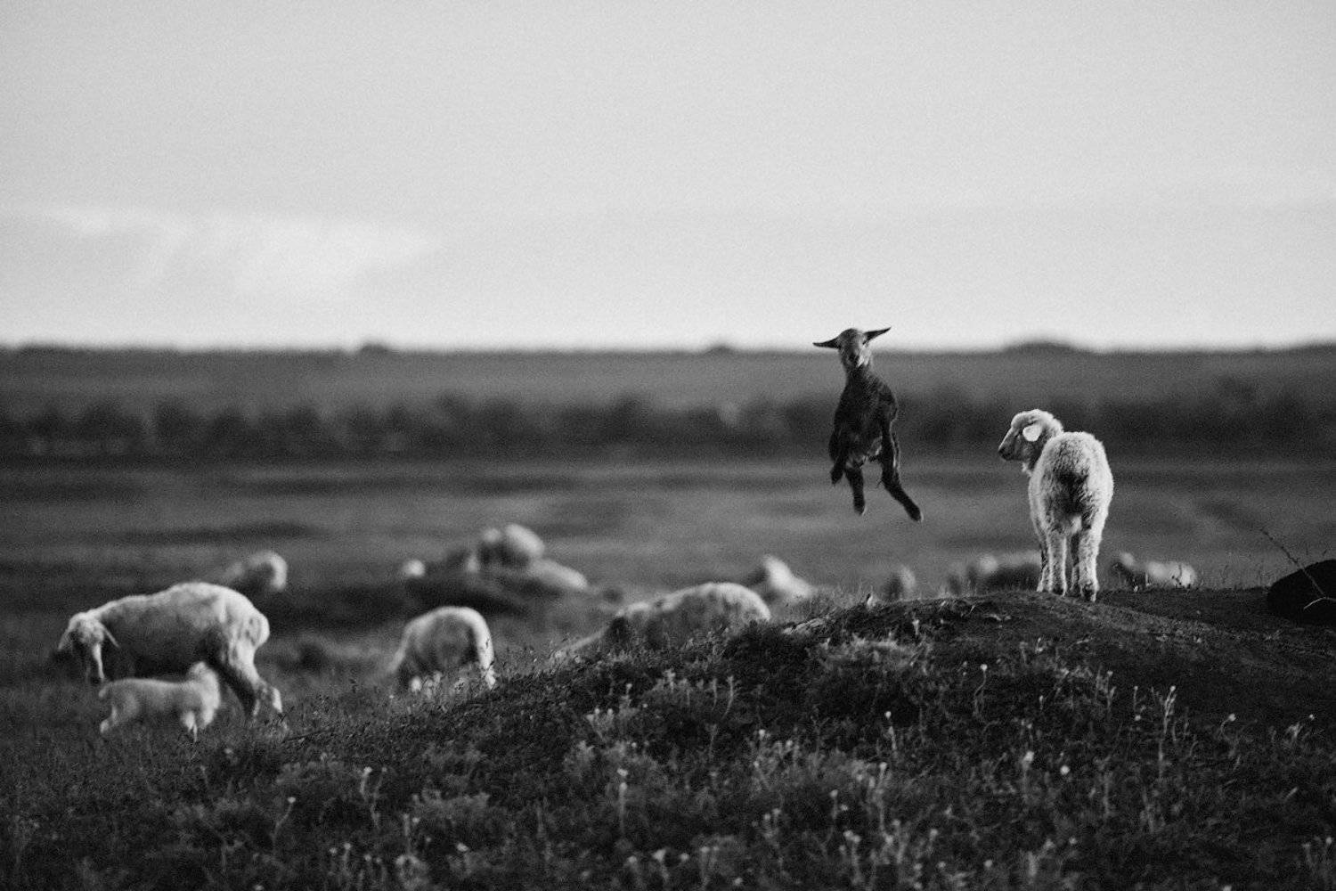 , Семён Конев