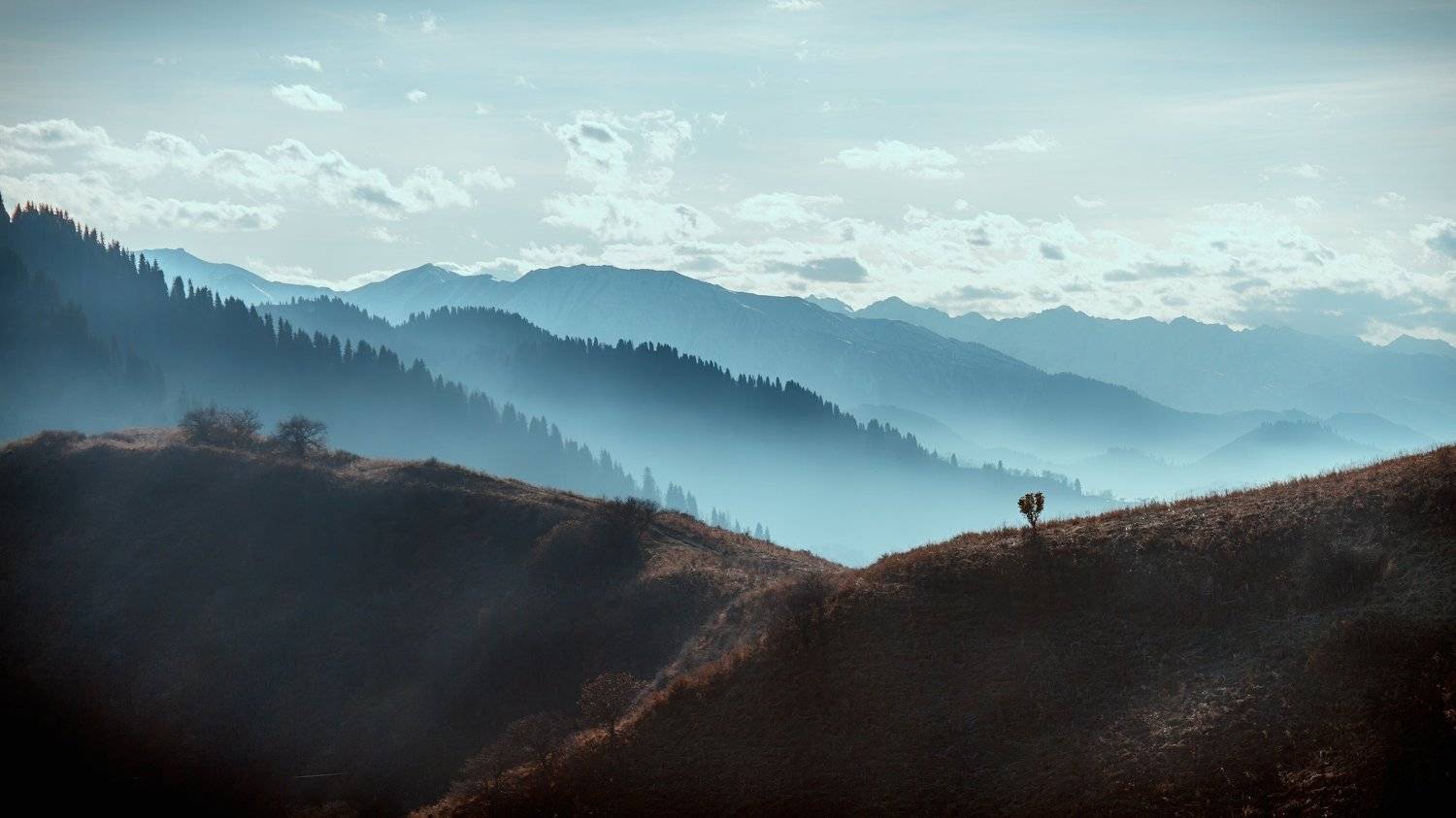 , Ислам Мирсаитов