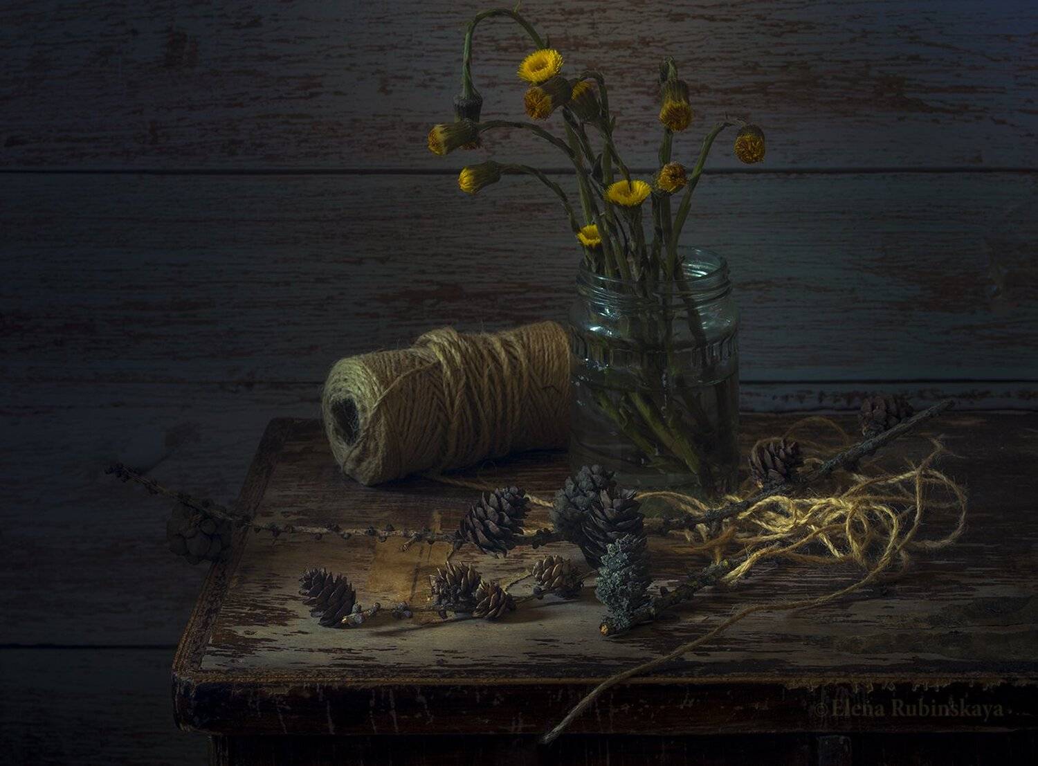 , Елена Рубинская