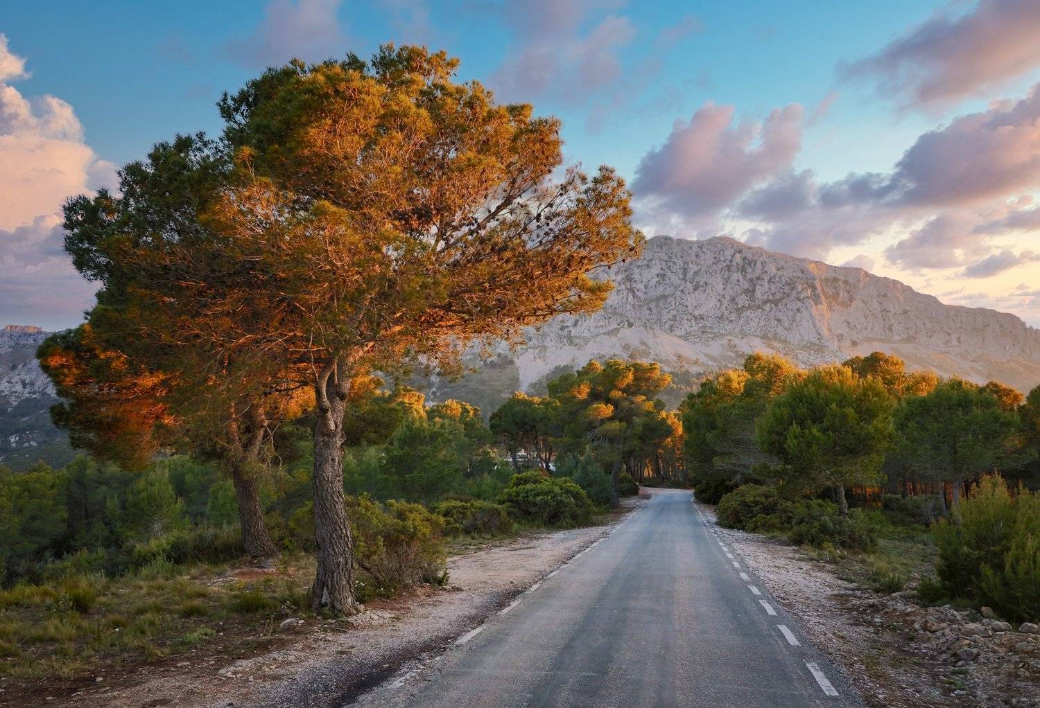 , Алекс Римский