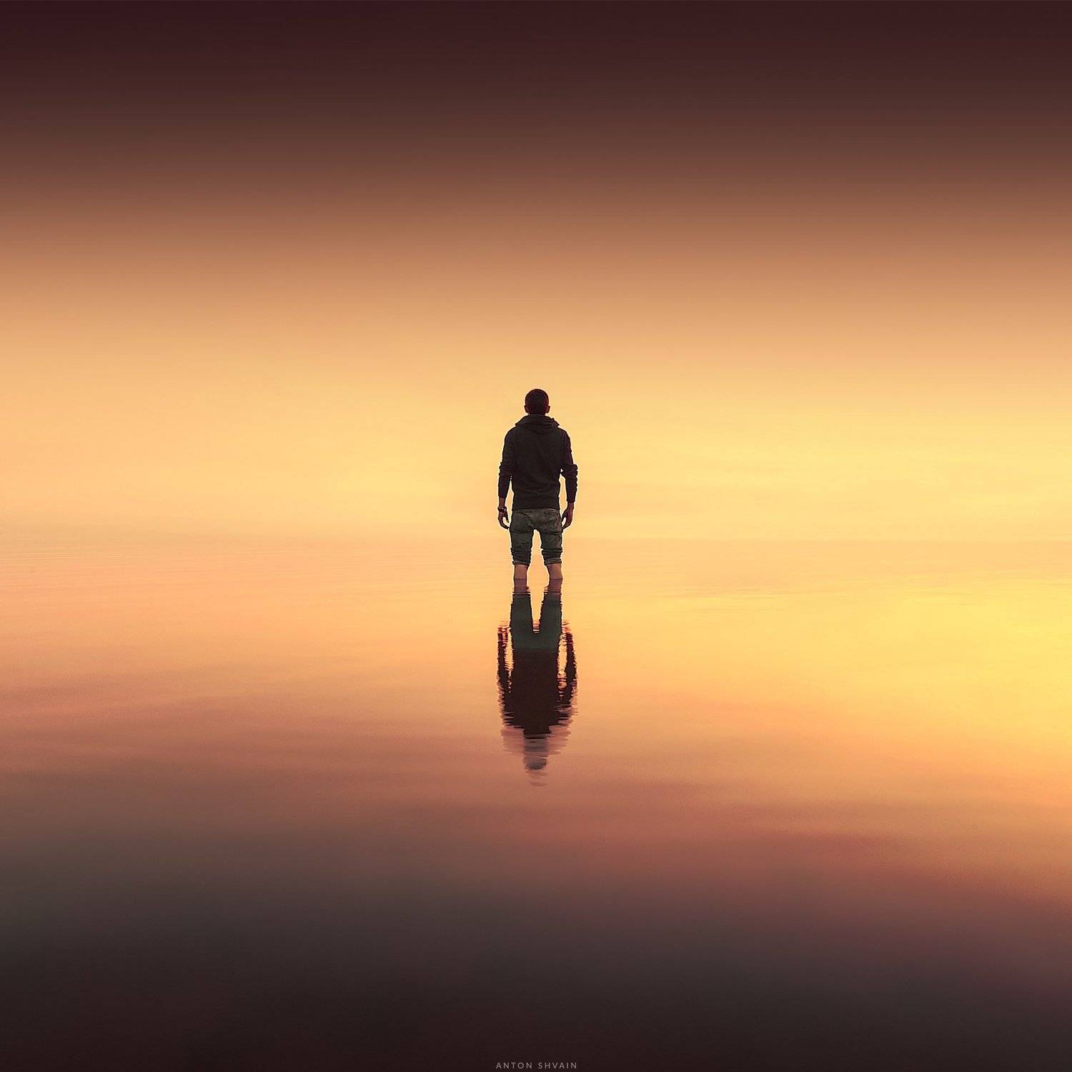 , Антон Шваин