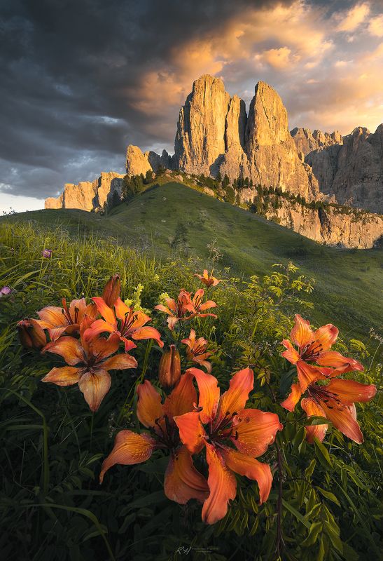 #landscape #mountains #dolomites #italy #sunset Lily explosion фото превью