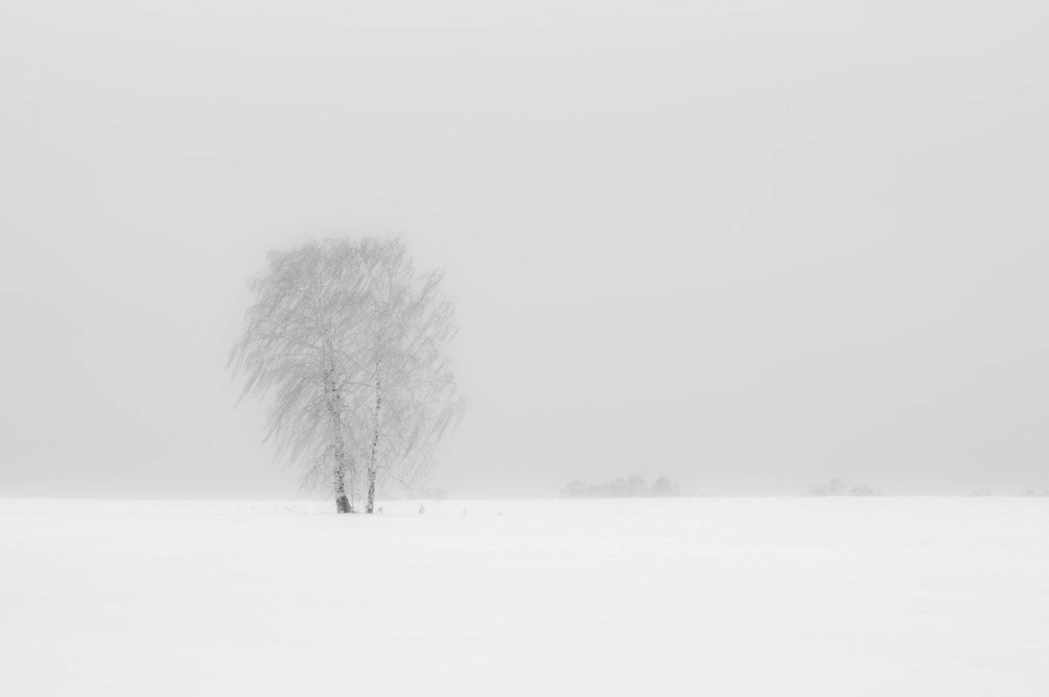 , Андрей Хаймин