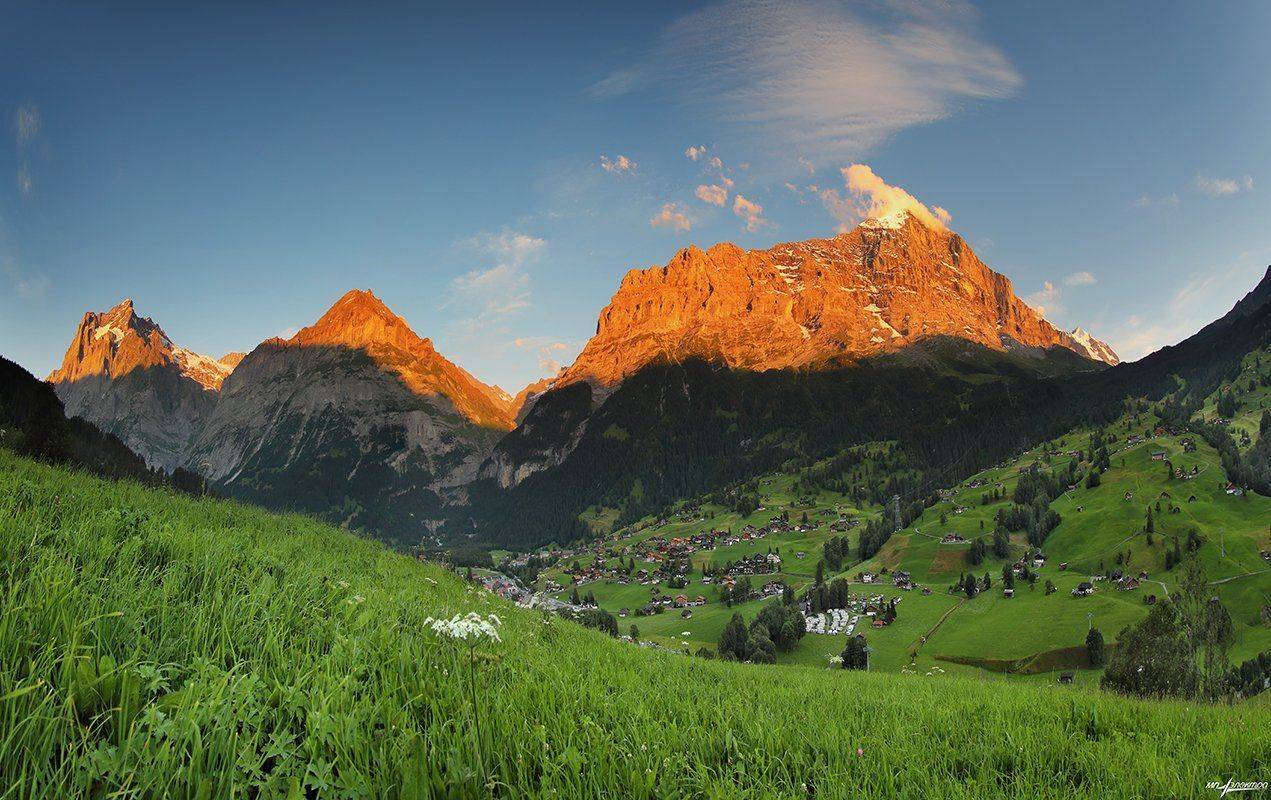 swiss, Матвеев Николай