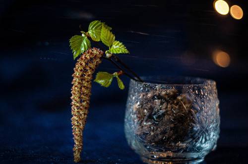 Первые листья