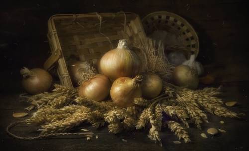 Золотистый лук !