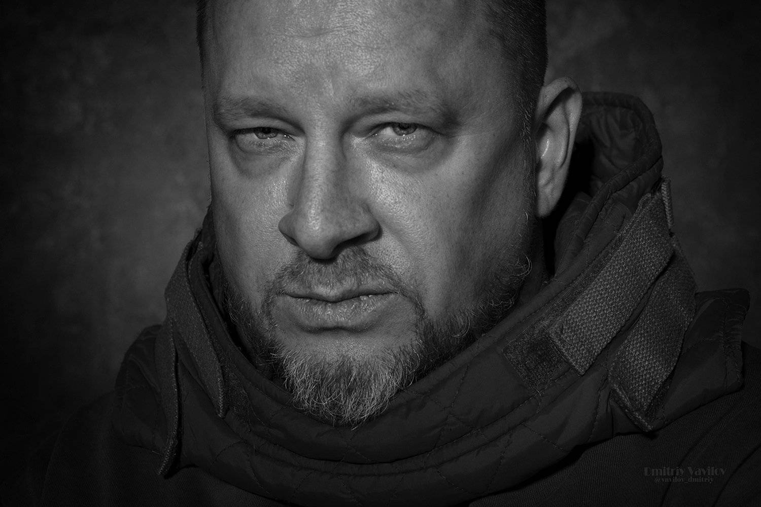 art_vavilov, Дмитрий Вавилов