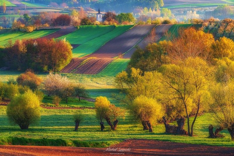 Spring in Poland... фото превью