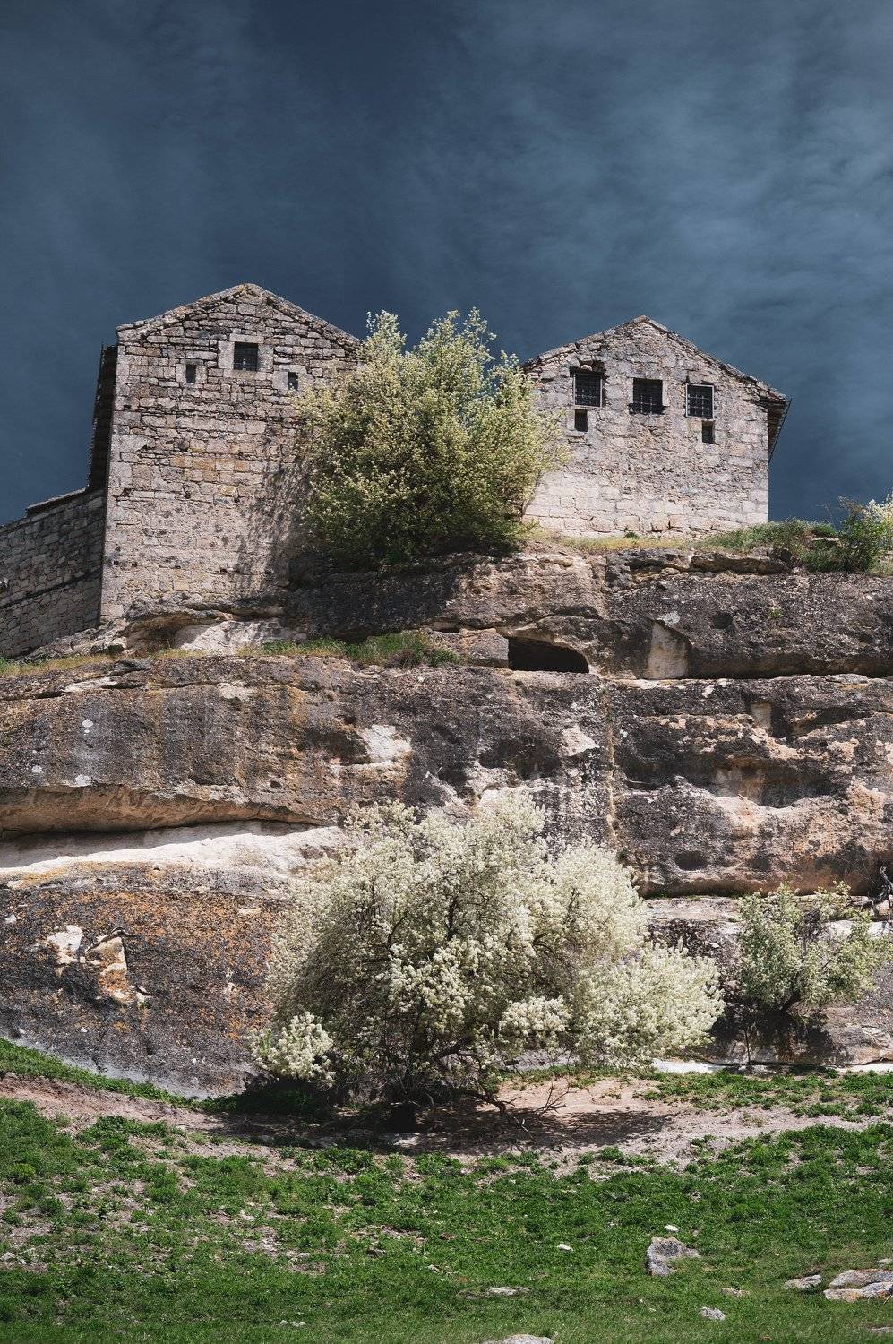 crimea landscape spring historical old tree, Егор Бугримов