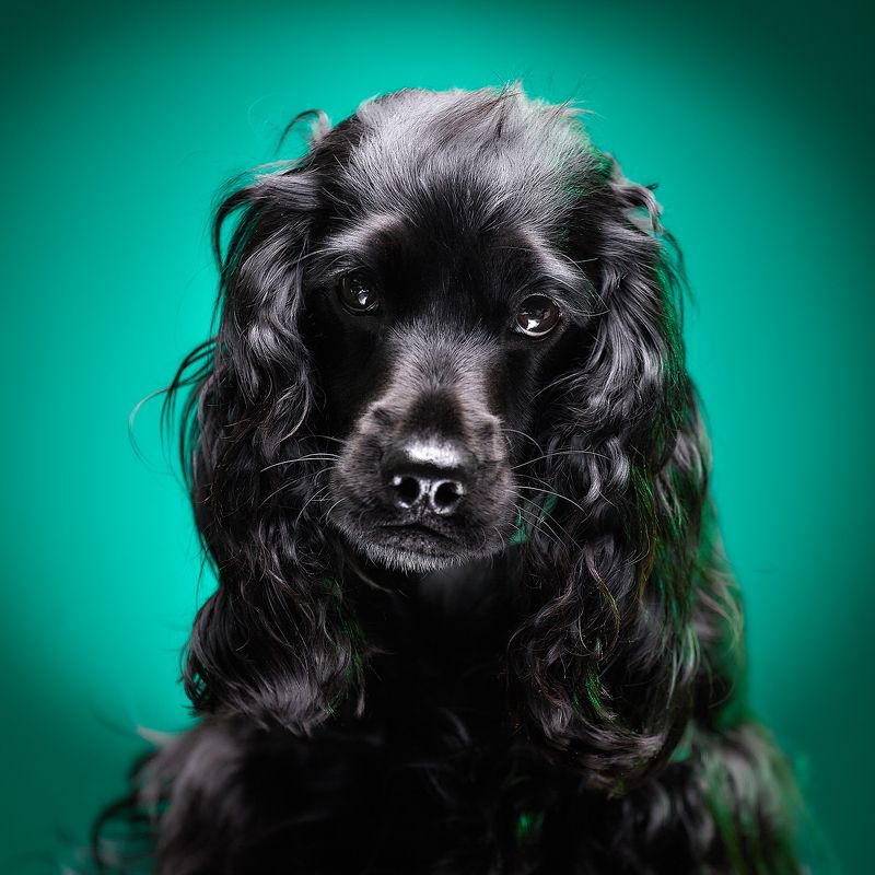 Jessie фото превью