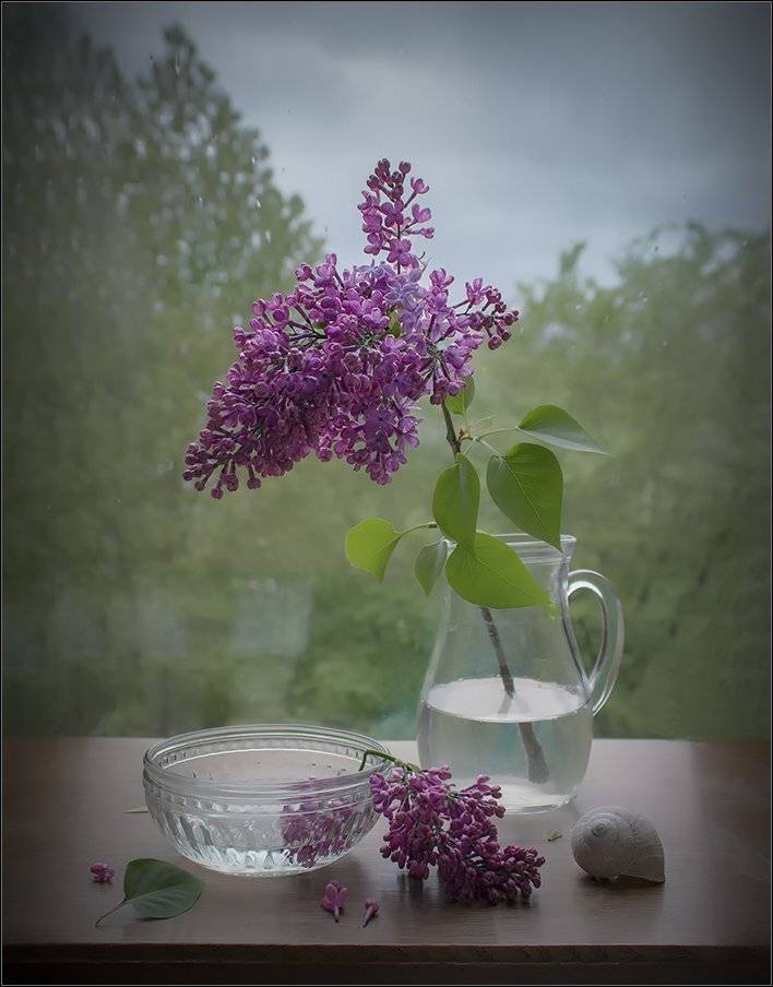 , Stein Georg