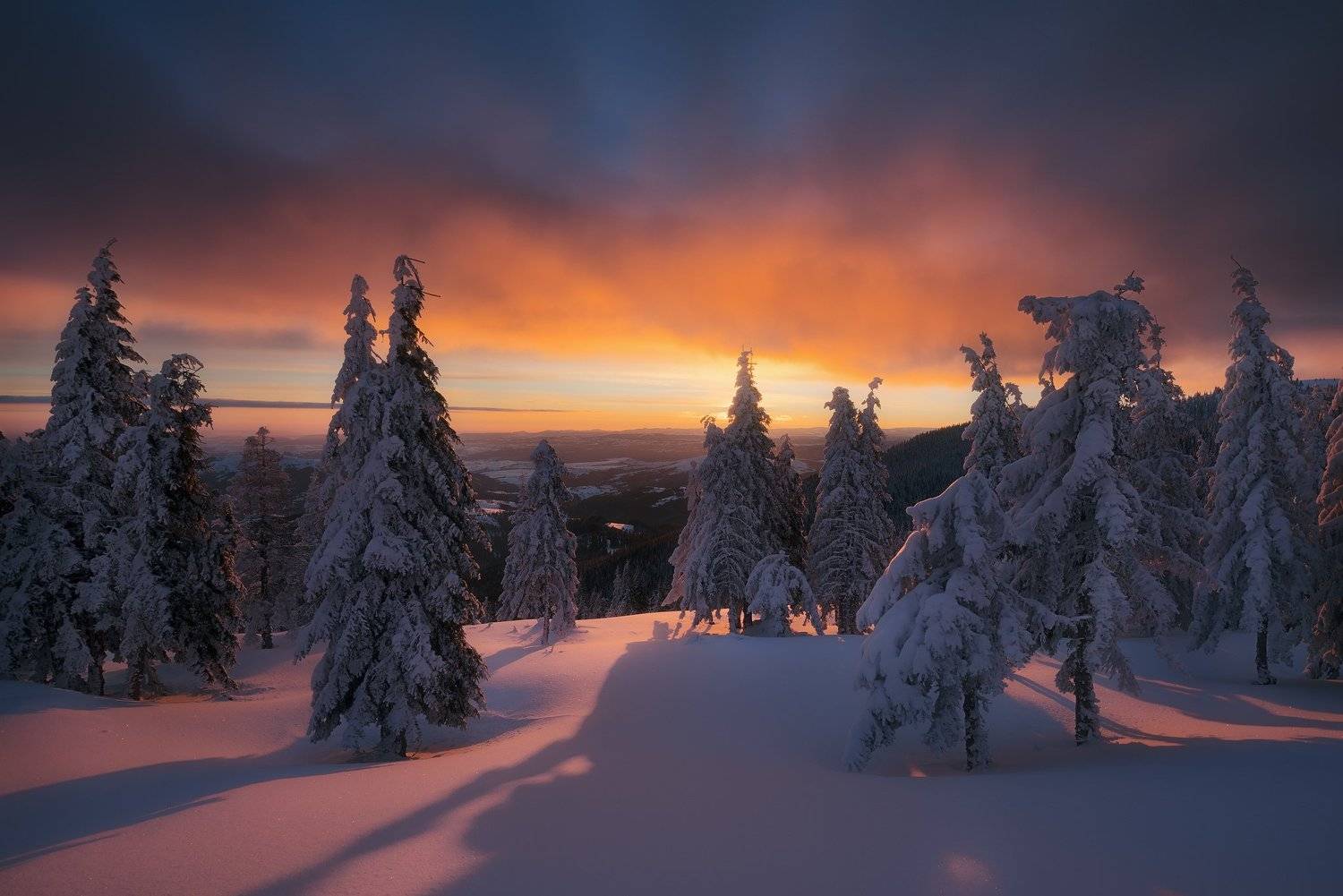 , Szabo Zsolt Andras