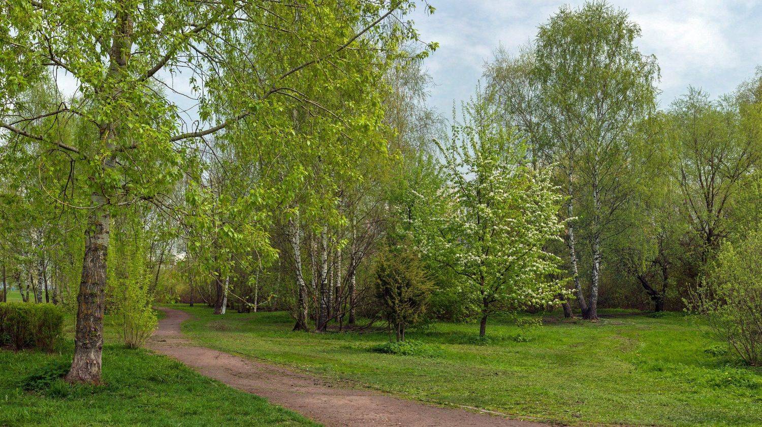 Прогулка по парку. Автор: Валерий , Валерий