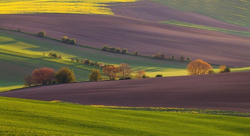 Moravian Tuscany фото превью