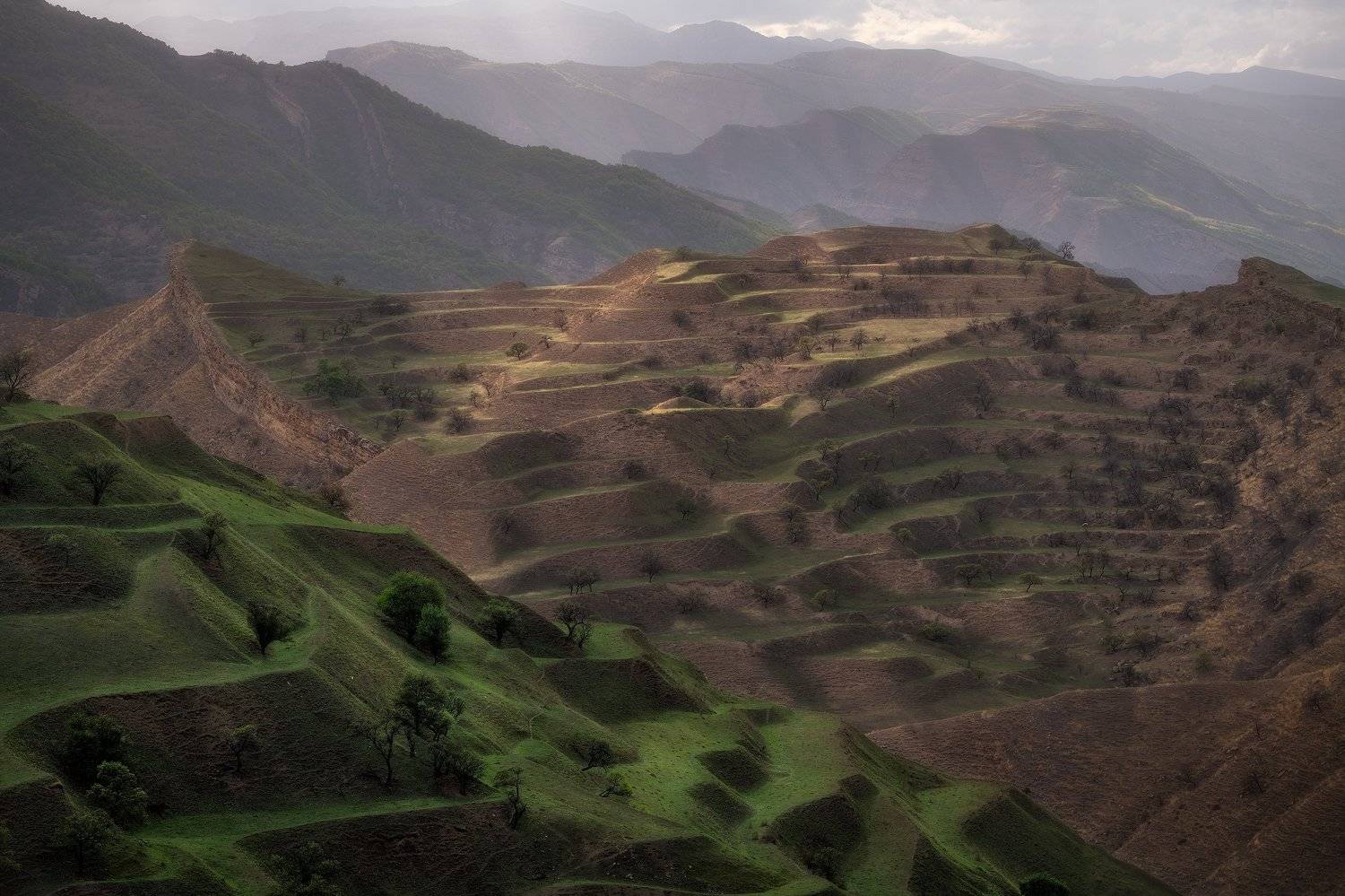 россия, кавказ, дагестан, горы, пейзаж, пейзажироссии, природа, путешествия, терассы, весна, russia, caucasus, dagestan, mountains, landscape, nature, travel, terraces, spring, Сергей Алтушкин