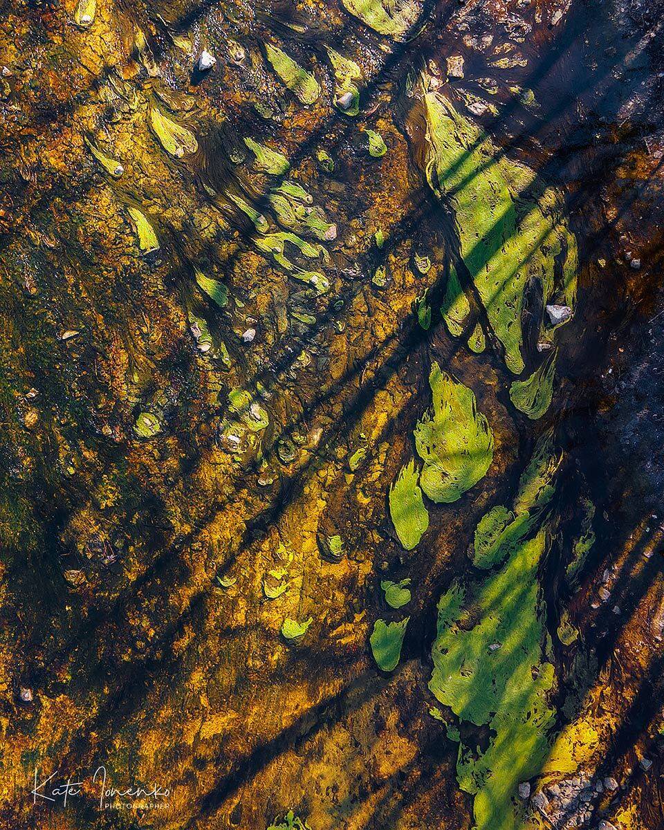 , Екатерина Ионенко