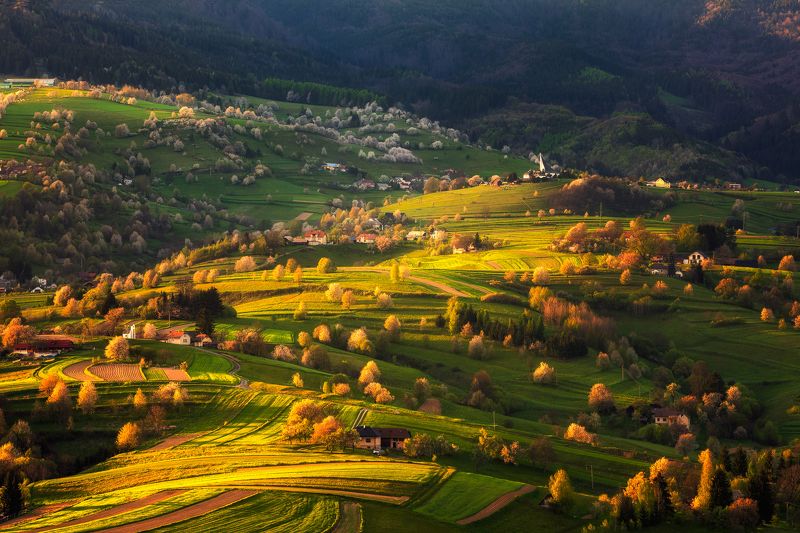 Evening countryside фото превью